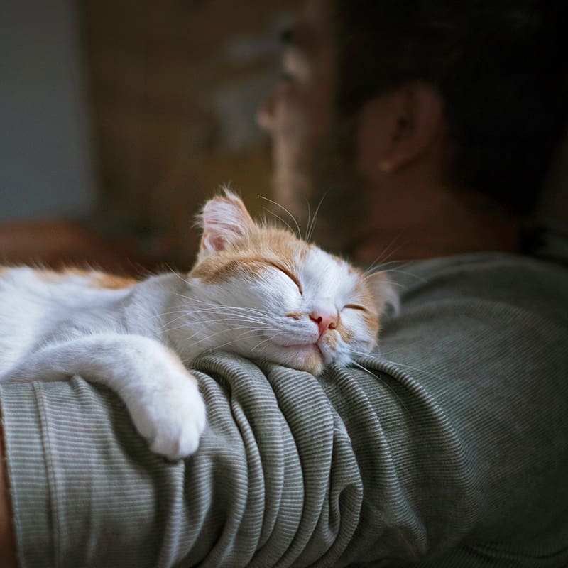 Man Holding Sleeping Cat
