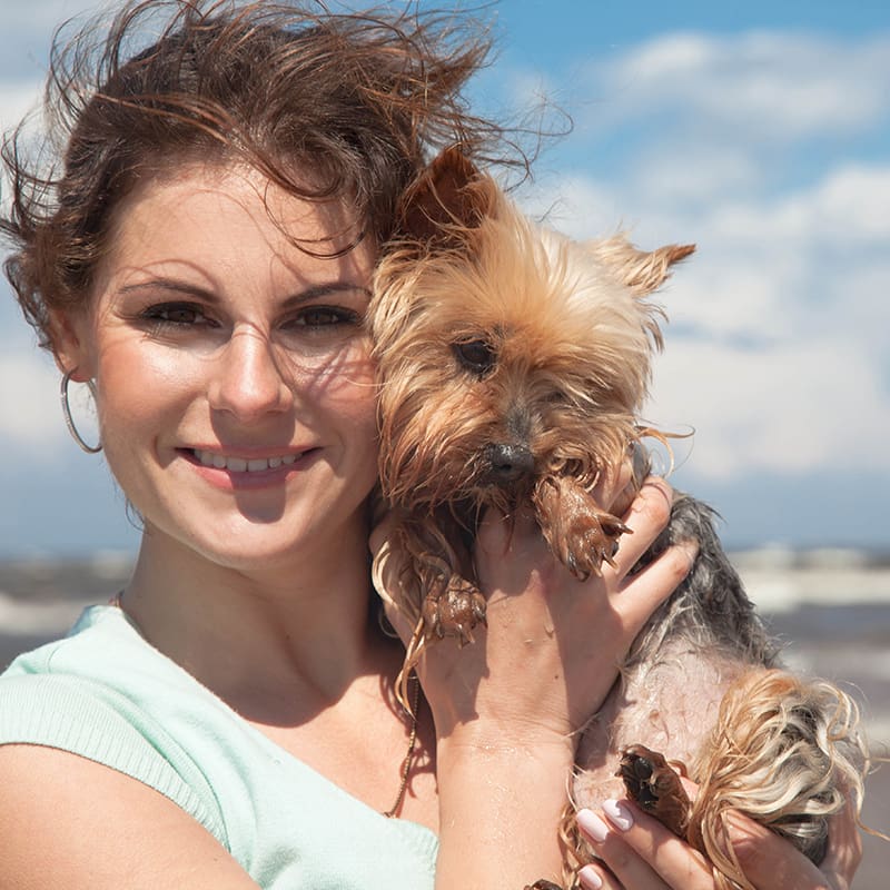 Woman Holding Yorkshire Terrier
