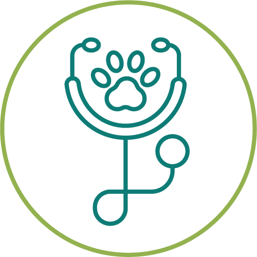 dark green drawing of a stethoscope with a paw inside of a light green circle
