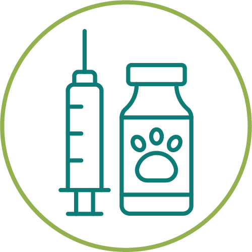 dark green drawing of pet medication inside of a light green circle
